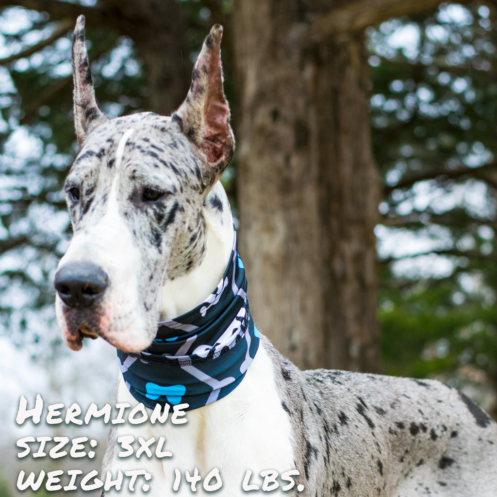 Spooky Bones Halloween Dog Bandana