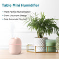 MiniMist Portable USB Humidifier