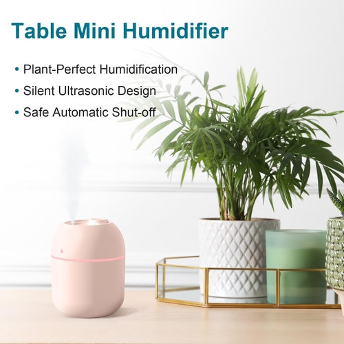 MiniMist Portable USB Humidifier