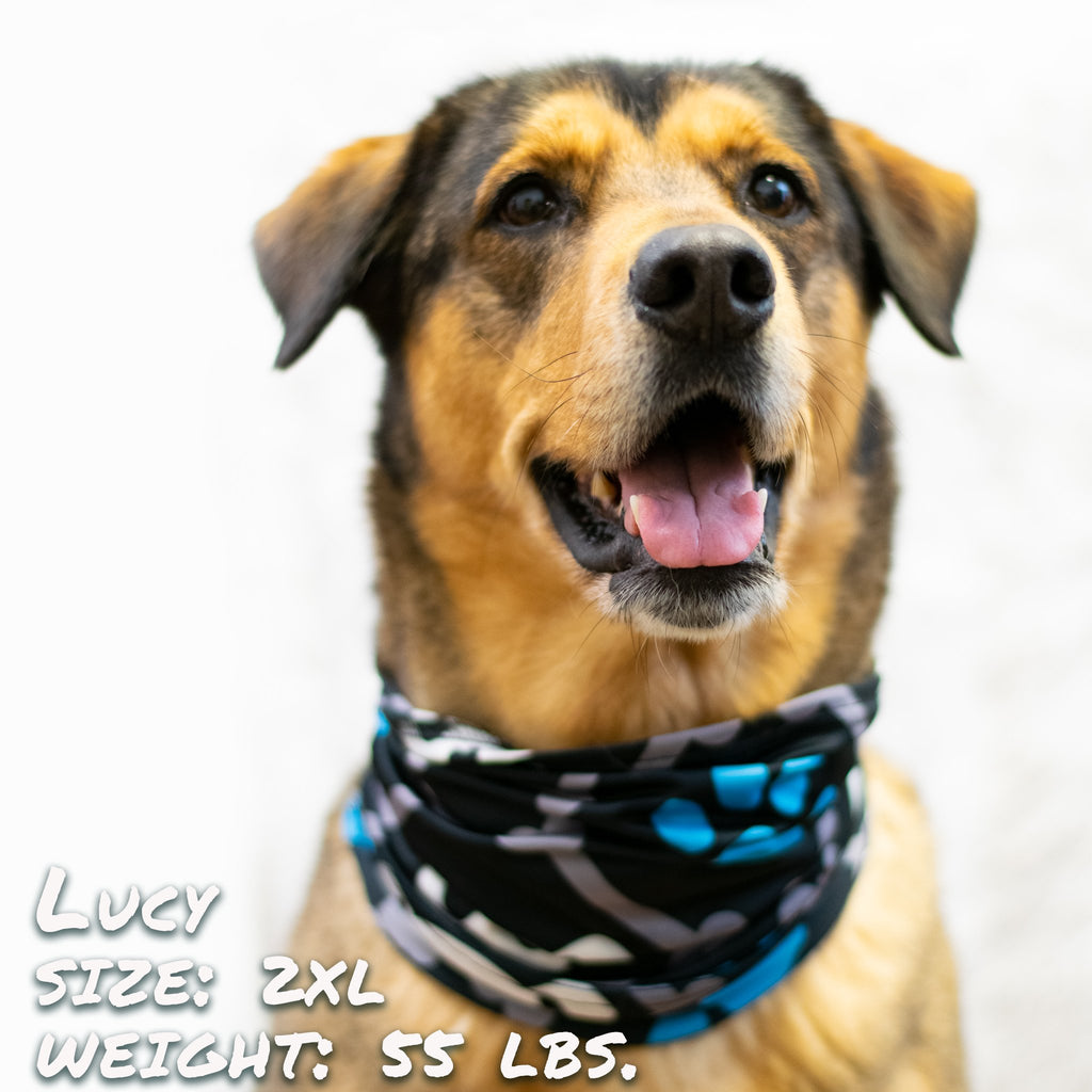 Spooky Bones Halloween Dog Bandana
